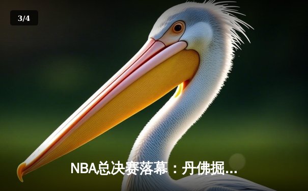 NBA总决赛落幕：丹佛掘金4-1夺冠，约基奇全票当选FMVP创历史 - 3